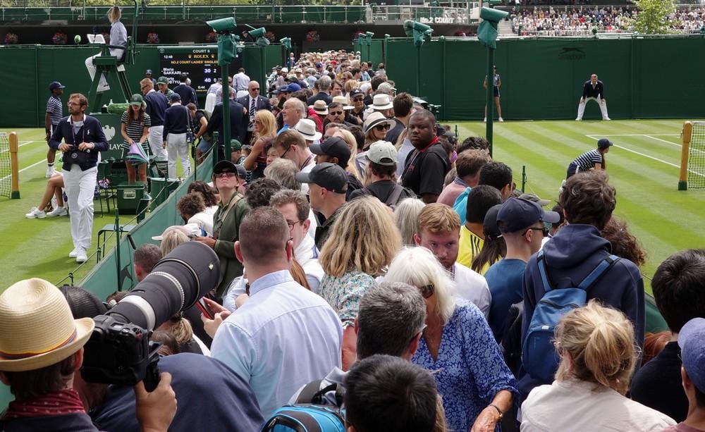 Pubblico Wimbledon