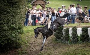 FEI Eventing European Championship Haras Du Pin 2023, Giovanni UGOLOTTI (ITA) on SWIRLY TEMPTRESS - Foto FISE-M.Argenziano