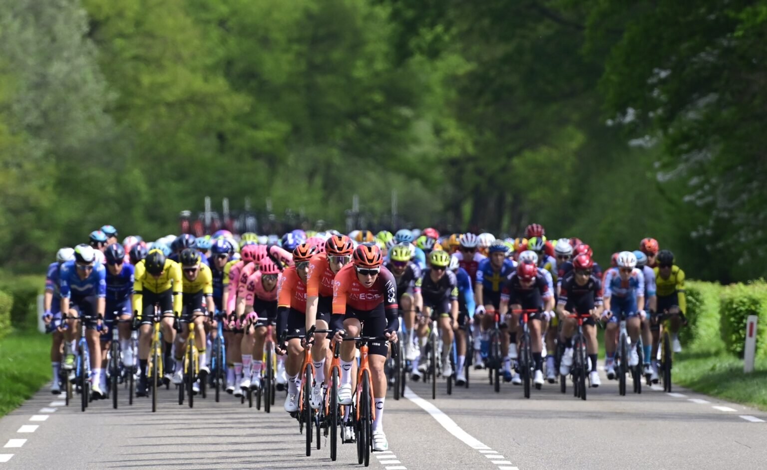 Mondiali ciclismo 2024, dove vedere la prova in linea uomini