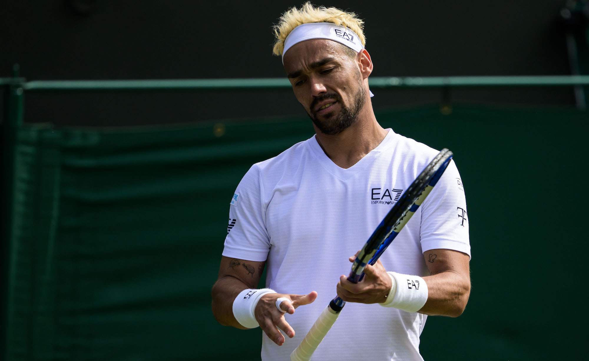 Fabio Fognini Wimbledon 2024