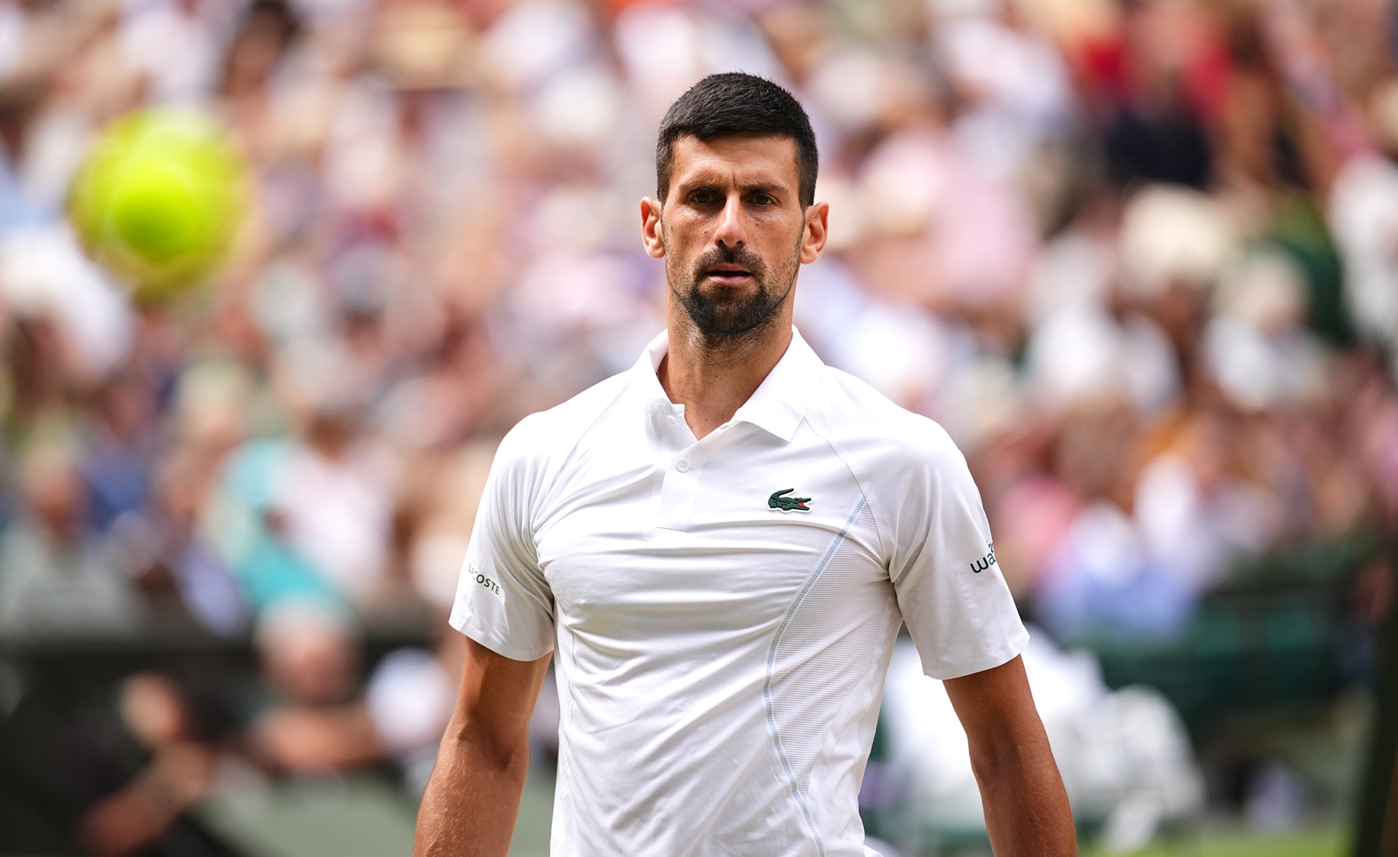 Novak Djokovic