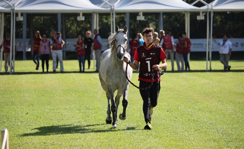 Equitazione Endurance