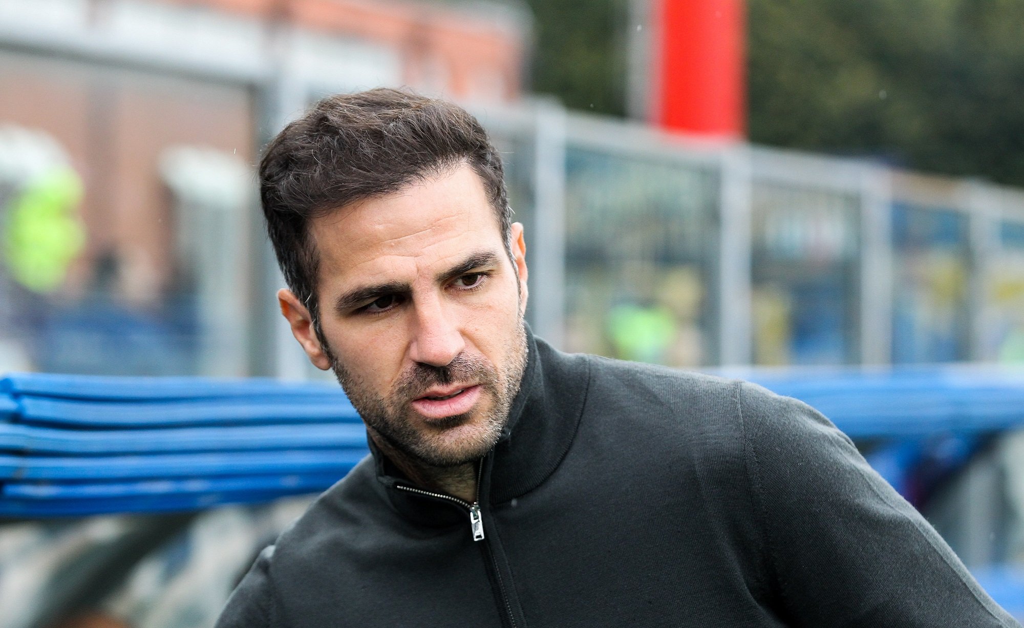 Cesc Fabregas