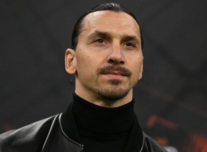 Ibrahimovic in campo