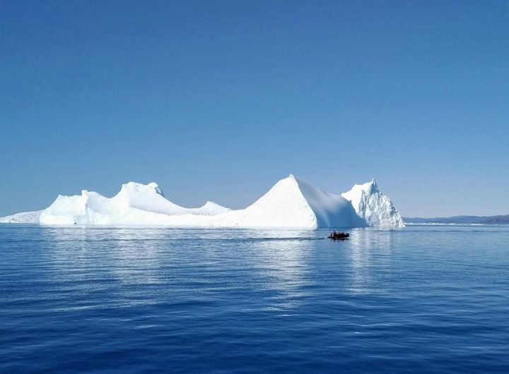 Iceberg